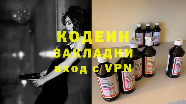 шишки Белокуриха