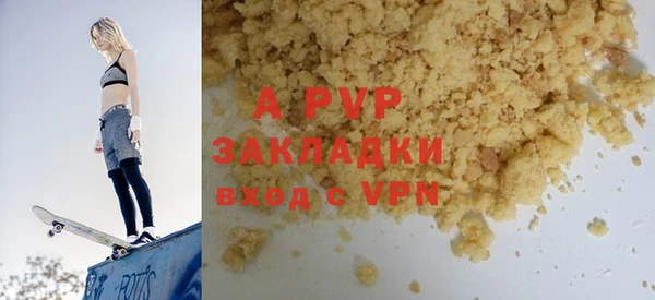 шишки Белокуриха