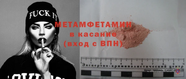 шишки Белокуриха