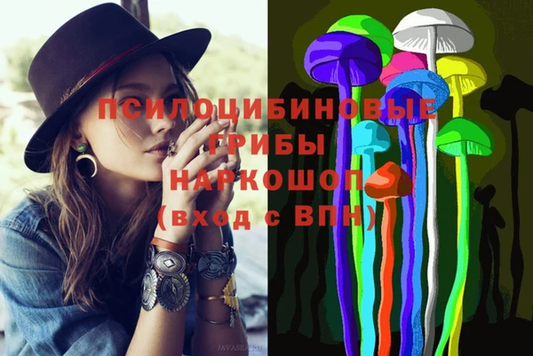 шишки Белокуриха