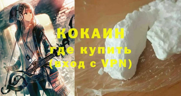 шишки Белокуриха