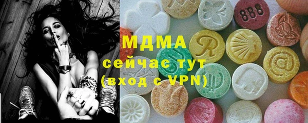 шишки Белокуриха