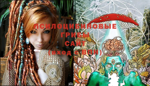 шишки Белокуриха