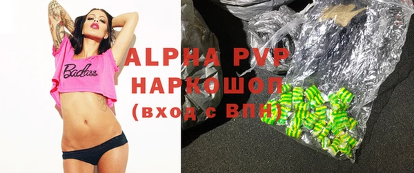 шишки Белокуриха