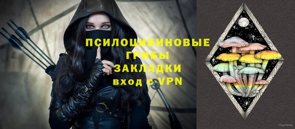 шишки Белокуриха