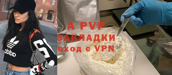 шишки Белокуриха