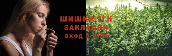 шишки Белокуриха