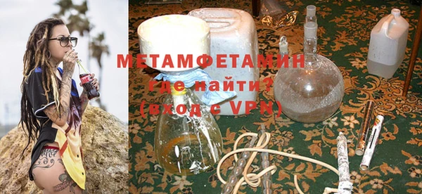 шишки Белокуриха
