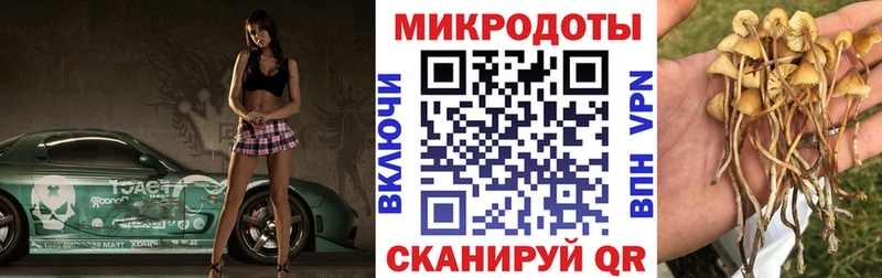 где найти наркотики Сим Галлюциногенные грибы прущие грибы