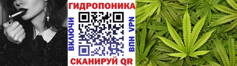 Бошки марихуана марихуана  Сим 